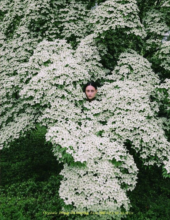 337ae28c-8141-4b69-822d-7a85fc18a601