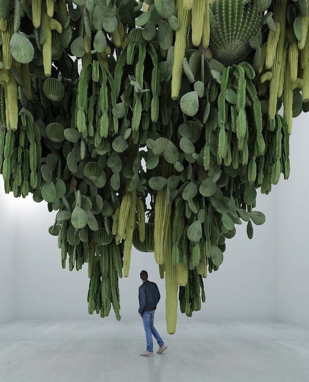 e8f22c9d-9c82-4183-a67d-012758756e88_