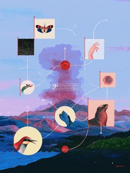 f95f79f7-0a4f-4602-a8c1-2e154110114c